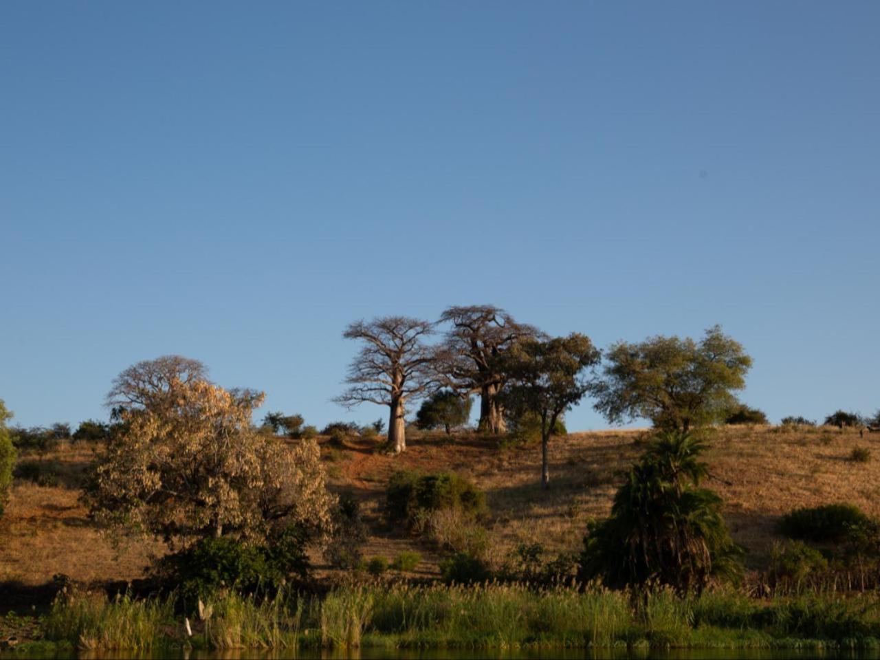 Kayova River Lodge Ndiyona Dış mekan fotoğraf