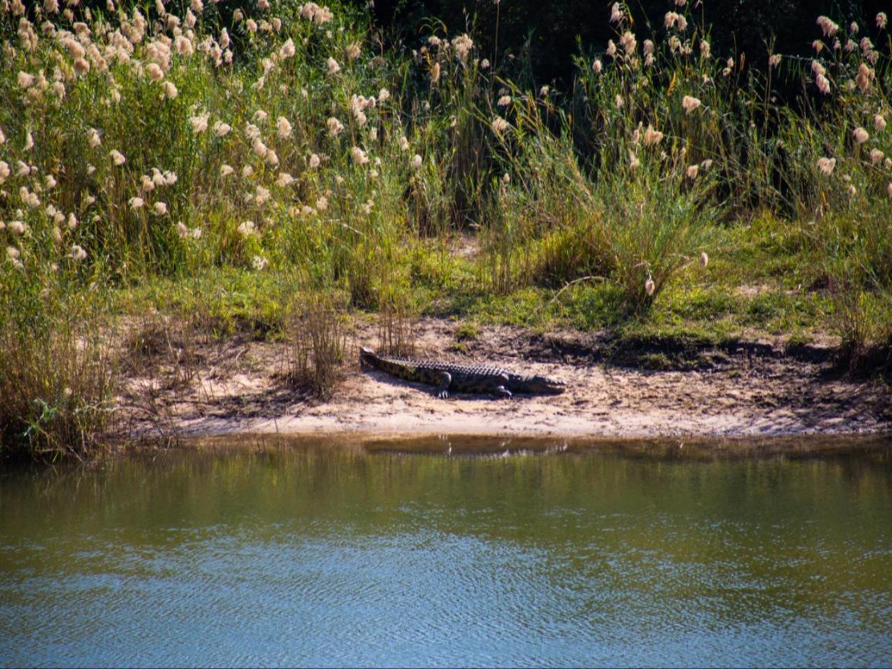Kayova River Lodge Ndiyona Dış mekan fotoğraf