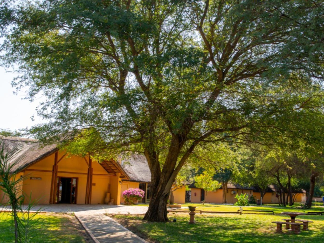 Kayova River Lodge Ndiyona Dış mekan fotoğraf